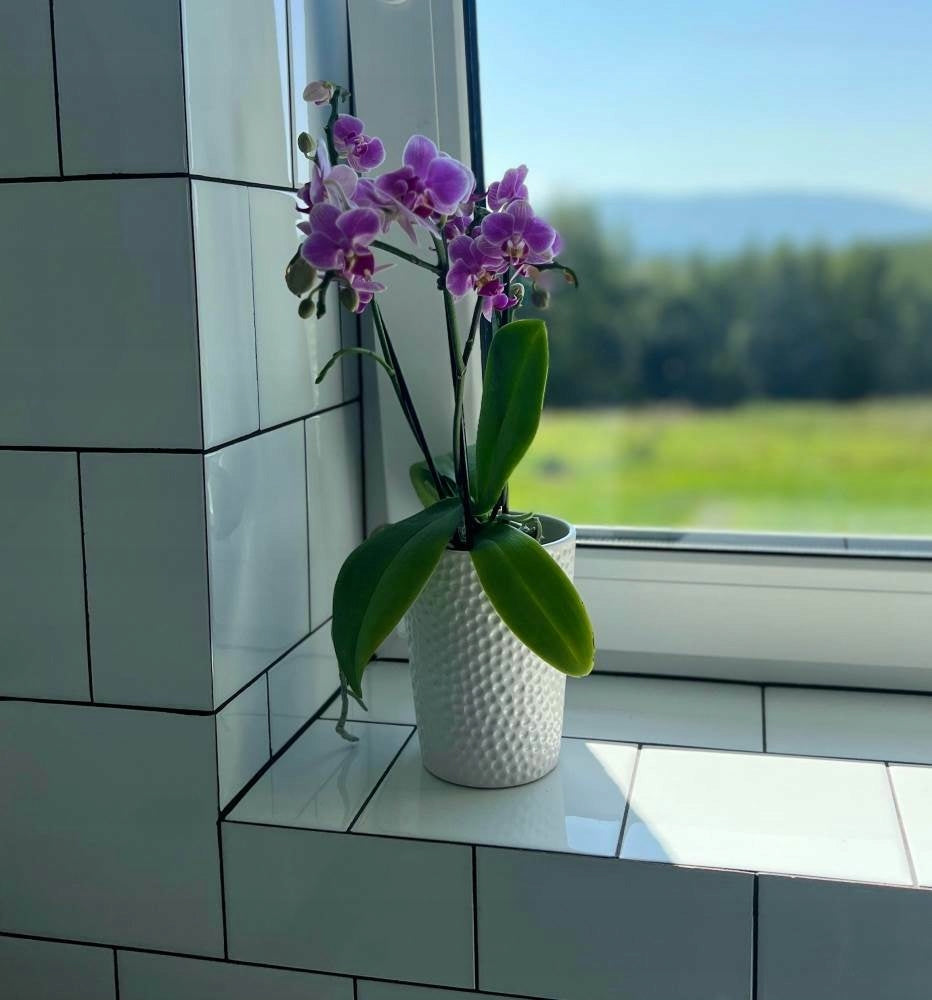 Baltas keraminis vazonas orchidėjai 13×15 cm – nuotrauka 3