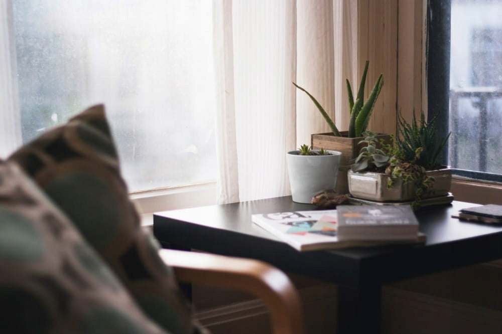 Baltas keraminis dekoratyvinis vazonas 17 cm – nuotrauka 4